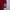 Burberry Casual Polo shirt Pria red photo 5