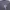 Versace Casual Sweatshirt Pria gray photo 3
