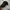 MLB Sportswear Hat Pria black photo 2