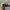 Pancoat Reworked Hat Pria multicolor photo 2