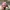 Disney Vintage Y2K Hat Pria pink photo 1