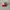 New Era Sportswear Hat Pria red gray photo 1