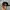 Adidas Sportswear Hat Pria black photo 2