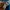 MLB Sportswear Hat Pria blue photo 5