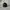 Polo Ralph Lauren Sportswear Hat Pria black photo 1