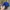 New Era Sportswear Hat Pria multicolor photo 5