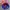 Adidas Sportswear Hat Pria multicolor photo 1