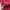 Stussy Y2K Sweatshirt Pria red photo 5