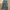 Levi's Vintage Y2K Jeans Pria blue photo 3
