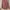 Bershka Luxury Wanita pink photo 1