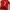 Adidas Vintage Y2K T-shirt Pria red photo 3