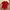 Adidas Vintage Y2K T-shirt Pria Red