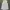 Burberry Luxury Casual T-shirt Wanita white photo 1