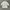 Burberry Luxury Casual T-shirt Wanita white photo 1