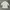 Burberry Luxury Casual T-shirt Wanita white photo 8