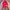 JanSport Casual Bag Pria pink photo 1