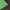 Futurist Wanita multicolor photo 6