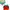 Futurist Wanita multicolor photo 2