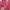 Dickies Cosplay Hoody Pria red photo 4