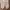 Streetwear Sportswear Tracksuit Pria cream yellow photo 2