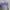 Adidas Vintage Sportswear Hoody Pria gray photo 2