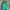 Pancoat Streetwear Casual Hoody Wanita white green photo 1