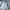 Champion Sportswear Casual Denim jacket Pria white photo 1