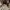 Louis Vuitton Vintage Handbag Wanita white photo 1