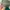 Vintage Casual Hat Pria green photo 5