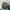 Vintage Casual Hat Pria green photo 3