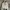 Abercrombie & Fitch Streetwear Skater Hoody Pria white photo 1
