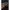 Dickies Streetwear Sweater Pria black photo 4