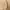 Vintage Y2K Vest Pria tan photo 6