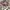Dior Vintage Y2K Sunglass Wanita pink photo 3