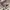 Dior Vintage Y2K Sunglass Wanita Pink