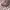 Dior Vintage Y2K Sunglass Wanita pink photo 2