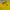 Polo Ralph Lauren Skater Sportswear T-shirt Wanita yellow photo 2