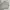 Columbia Vintage Sportswear Parka Pria tan photo 4