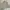 Columbia Vintage Sportswear Parka Pria tan photo 1