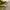 Streetwear Sportswear Parka Pria multicolor photo 6