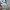 The North Face Sportswear Track jacket Pria white photo 2