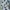 The North Face Sportswear Track jacket Pria white photo 3