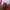 Polham Streetwear Track jacket Pria red photo 2