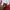 Polham Streetwear Track Jacket Pria Red