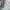 Jeep Sportswear Puffer jacket Pria white photo 3