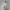 Jeep Sportswear Puffer jacket Pria white photo 1