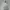 Jeep Sportswear Puffer Jacket Pria White