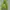 Hollister Sportswear Pria green photo 1