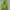 Hollister Sportswear Pria Green