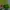 Hollister Sportswear Pria green photo 3